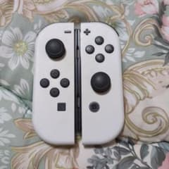 Nintendo Switch Joy-Con 有機モデルのサムネイル