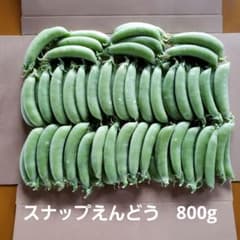 新鮮 スナップエンドウ 収穫したて　800g　ネコポスのサムネイル
