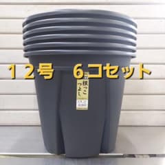 セットがお買い得！ 生育環境を整えるスリット構造！根っこつよし 12