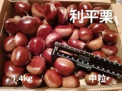埼玉県産生栗　利平　中粒中心　1.4kg以上のサムネイル