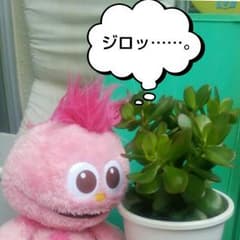 ちゃんぼー様専用のサムネイル