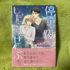 BL小説 / 停電の夜にしたことぜんぶ ダリア文庫のサムネイル