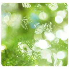Hima。様専用のサムネイル