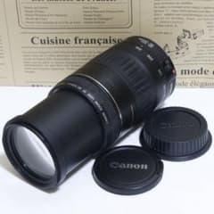 ♥︎◇遠くを撮るならこのレンズ♪ ◇Canon EF 90-300mm Amazon.co.jp: Canon EF 90-300mm F4.5-5.6 USM : 家電＆カメラ