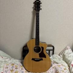 み*ー様 Taylor 214ce DLX 2021年製のサムネイル