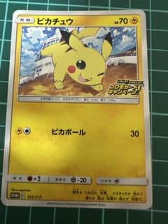 【Pokemon】ピカピカ！ピカチュウ！プロモカードキャンペーン！ ピカチュウ V プロモカードキャンペーン (122/S-P S-PROMO)