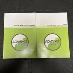 アドバンス Excel 2010/2013/2016 機能解説・課題集のサムネイル