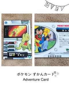 ポケモン ずかんカード アドベンチャーカード サトシのキモリ - メルカリ