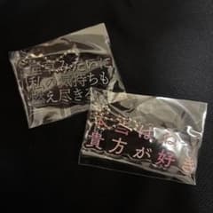 ヤングスキニーキーホルダー 2種セットのサムネイル
