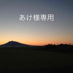 あけ様専用のサムネイル