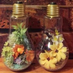 電球オブジェの寄せ植えセット①のサムネイル