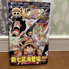 ONE PIECE 67巻 尾田栄一郎 ジャンプコミックス 初版 チラシつき