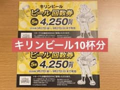 福岡ソフトバンクホークス キリン回数券 10枚セット みずほPayPayドーム 福岡ソフトバンクホークス キリン回数券 10枚セット みずほPayPay