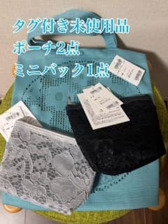 タグ付き未使用 近沢レース　ポーチ2点 ミニバッグ1点のサムネイル