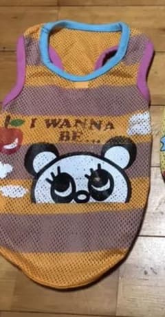 確認用のサムネイル