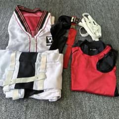 にじさんじ セラフ・ダズルガーデン コスプレ衣装 TAKE ACTION - メルカリ