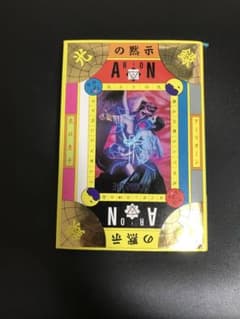 極美品】光の黙示録 アーリオーン『光の子らよ起きなさい！』 - メルカリ