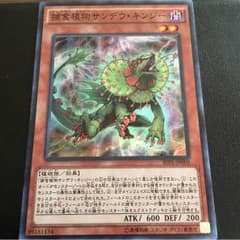 捕食植物サンデウキンジーのサムネイル