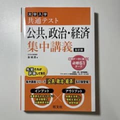 大学入学共通テスト　公共、政治・経済集中講義のサムネイル