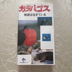 VHS ガラパゴス 地球は生きている 水中造形センターのサムネイル