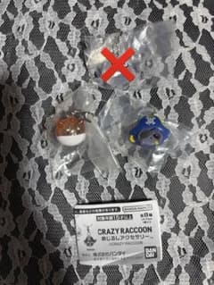 ちゅん様専用 CRAZY RACCOON めじるしアクセサリー 2点セットのサムネイル