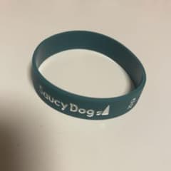 Saucy Dog ラバーバンド ラババン ライブグッズのサムネイル