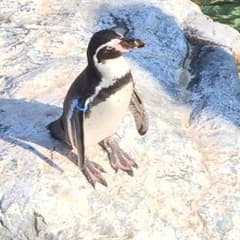 左腕の代償のサムネイル