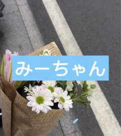 新品 レミントン 人工筋肉サポーター 膝パワーウォーク Lサイズ