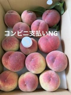 山梨県　桃　規格外　日川白鳳　①のサムネイル