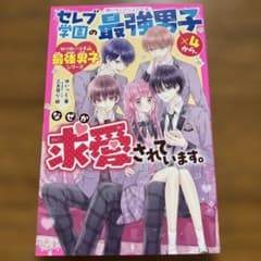セレブ学園の最強男子×4から、なぜか求愛されています。【取り扱い注意⚠最強男子…のサムネイル