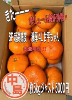 ジャスト5000円‼️きたーーー‼️数量限定‼️SP超濃厚4L甘平ちゃん約5k8