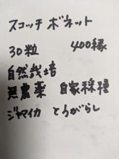 自然栽培スコッチボネット種のサムネイル