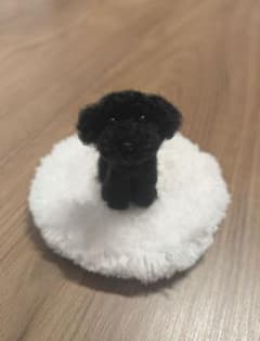 手乗りわんこ　トイプードル　全身　マット付のサムネイル