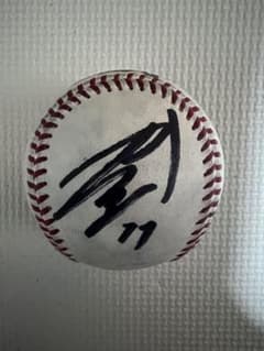 横浜 DeNA ベイスターズ 井納 翔一 #15 直筆 サイン ロゴボール 一翔