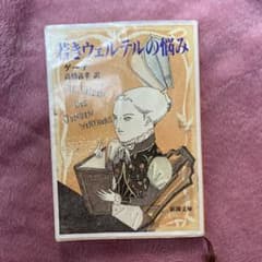 若きウェルテルの悩みのサムネイル
