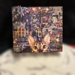 BUCK-TICK/CATALOGUE 1987-2016/4CD+DVD - メルカリ