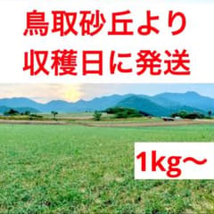 鳥取　福部産らっきょう ふくべ 砂丘 1kg お試しのサムネイル
