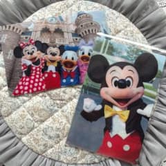 TDL 実写 旧フェイス クリアファイル ミッキー ミニー ドナルド