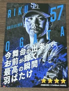 若鷹ガチャ ホークス 緒方理貢 9点セット 若鷹ガチャ ホークス 緒方理貢 9点セット 若鷹ガチャ ホークス