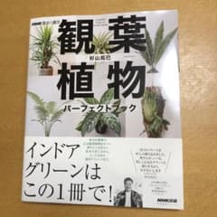 NHK趣味の園芸 観葉植物 パーフェクトブックのサムネイル