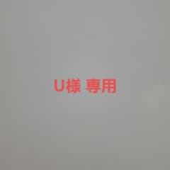 *ランチワイヤーバッグL(がま口型)のサムネイル
