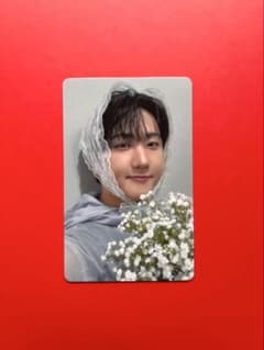 Stray Kids 会場限定トレカ チャンビンのサムネイル