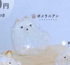 うちの子のけだまだま　犬のけだまだま　『ポメラニアン』のサムネイル