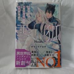 雪狐 氷の王子は番の黒豹騎士に溺愛されるのサムネイル