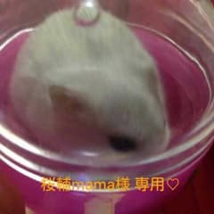 4月6日まで、お取り置き♡のサムネイル