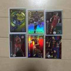 PFL パニーニ 引退 バラ売りのサムネイル