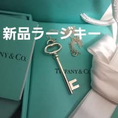 【新品】ラージキーネックレス【TIFFANY】のサムネイル