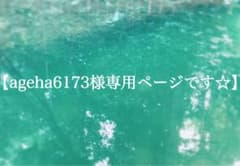 [ageha6173님 전용 페이지입니다☆]
