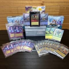 ☆*☆様 ロルカナ プロモ まとめ売り - メルカリ