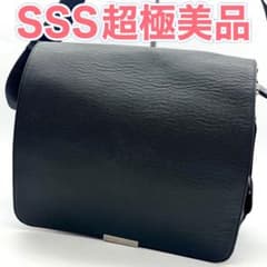 ❣️極美品❣️ルイヴィトン タイガ ショルダーバッグ ヴィクトール